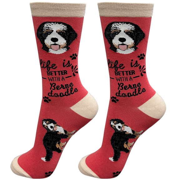Life is Better Socks Bernadoodle