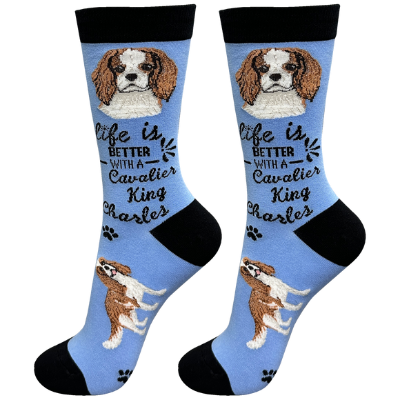 Life is Better Socks Cavalier King Charles