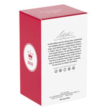 1953 Indian Chief Motorcycle Ornament