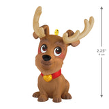 Hallmark Rudy Reindoggie Ornament