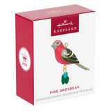 Pine Grosbeak Ornament
