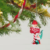 Hallmark Gnome for Christmas 3rd in the series Ornament