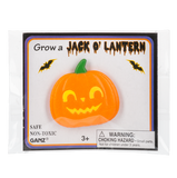 Grow a Jack-O-Lantern