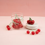 Nora Fleming 6" Super Canister with Top