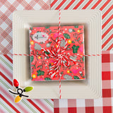 Nora Fleming Get Lit Mini