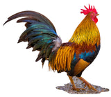 Madd Capp Puzzle I Am Lil' Rooster 100pc