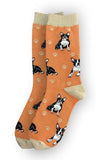Happy Tails Socks Boston Terrier