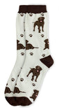 Happy Tails Socks Chocolate Labrador