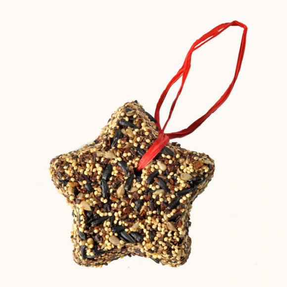 Little Star Seed Ornament